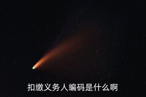 江西扣繳義務(wù)人編碼是什么，扣繳義務(wù)人編碼是什么號它和納稅人識別號是一個(gè)號嗎