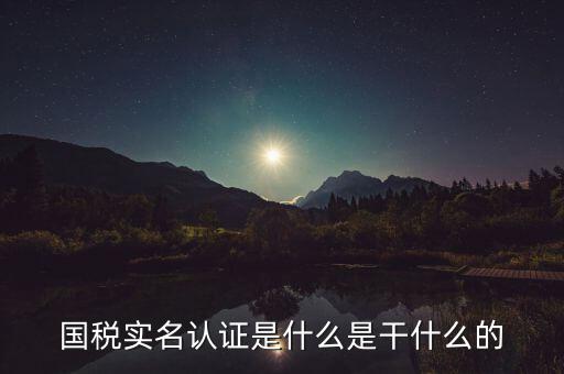 國稅實名認證是什么是干什么的