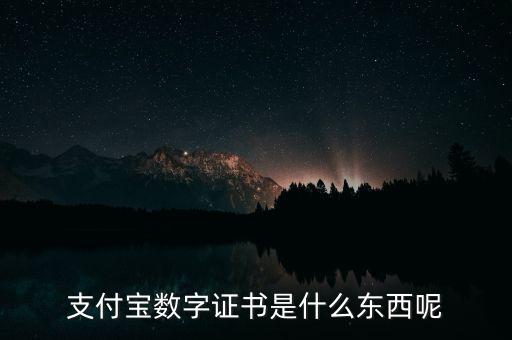 支付寶數(shù)字證書是什么東西呢