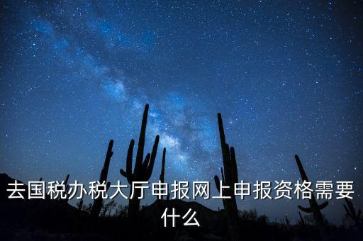 去國稅辦稅大廳申報(bào)網(wǎng)上申報(bào)資格需要什么