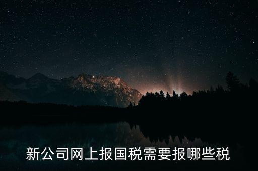 新公司網(wǎng)上報國稅需要報哪些稅