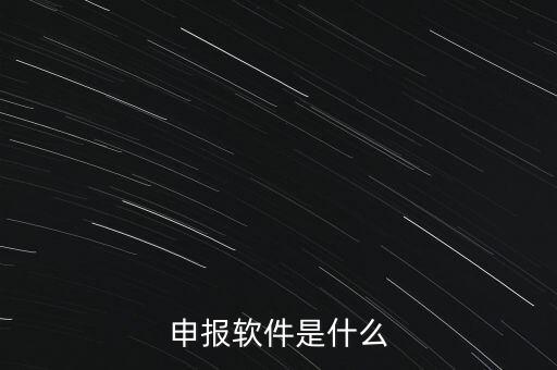 增值稅申報用什么軟件，申報軟件是什么