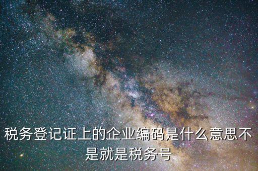 稅務登記證上的企業(yè)編碼是什么意思不是就是稅務號