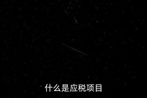 什么是應稅項目