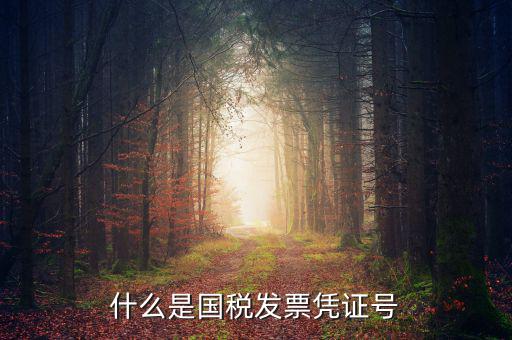 什么是國稅發(fā)票憑證號(hào)