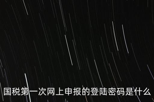 國稅的登錄密碼是什么，國稅第一次網(wǎng)上申報的登陸密碼是什么