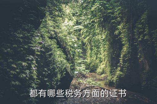 都有哪些稅務(wù)方面的證書