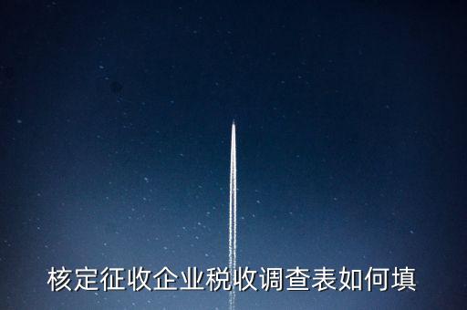 什么企業(yè)填稅收調(diào)查表，核定征收企業(yè)稅收調(diào)查表如何填