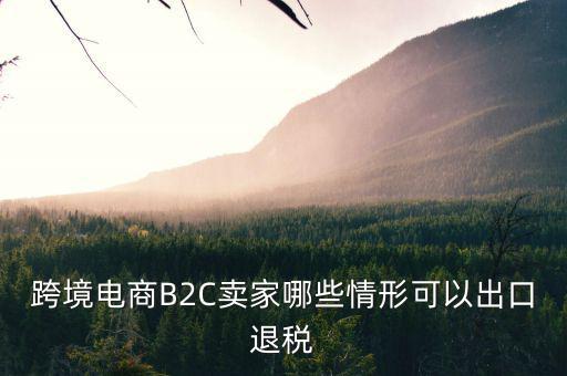 什么情況下要退稅，跨境電商B2C賣家哪些情形可以出口退稅