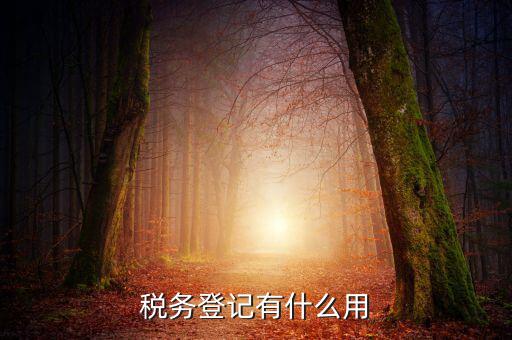 有稅務(wù)登記有什么好，稅務(wù)登記有什么用