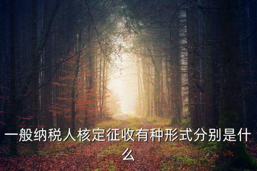 國稅函調(diào)是什么形式，國稅函調(diào)系統(tǒng)可以發(fā)起普通發(fā)票協(xié)查嗎