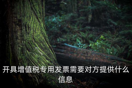 開(kāi)具增值稅專用發(fā)票需要對(duì)方提供什么信息