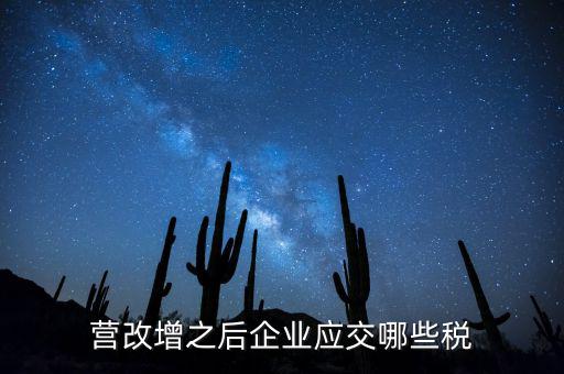 什么叫營改增企業(yè)所得稅，營改增企業(yè)季度申報所得稅