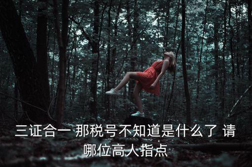 三證合一后的發(fā)票稅號是什么意思，三證合一 那稅號不知道是什么了 請哪位高人指點(diǎn)