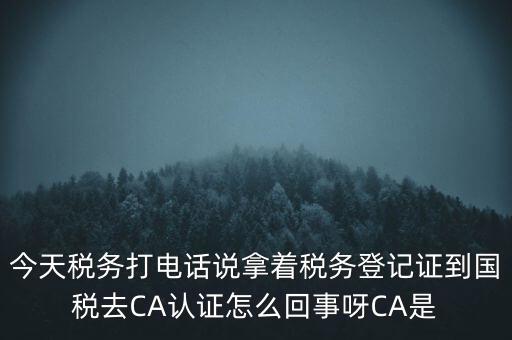 今天稅務(wù)打電話說拿著稅務(wù)登記證到國稅去CA認(rèn)證怎么回事呀CA是