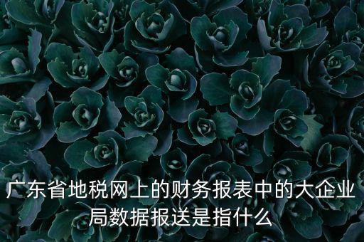 廣東省地稅網(wǎng)上的財務(wù)報表中的大企業(yè)局?jǐn)?shù)據(jù)報送是指什么