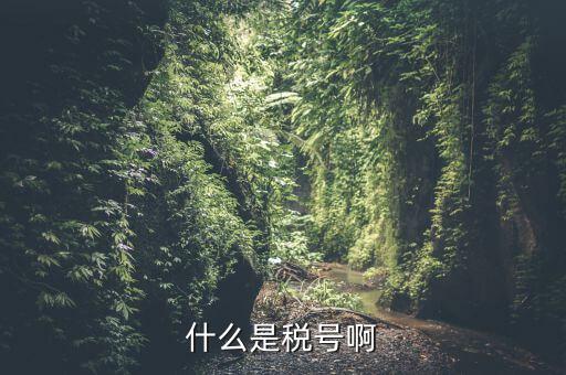 無證合一的稅號是什么意思，什么叫稅號