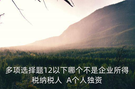 什么納稅人，多項(xiàng)選擇題12以下哪個(gè)不是企業(yè)所得稅納稅人  A個(gè)人獨(dú)資