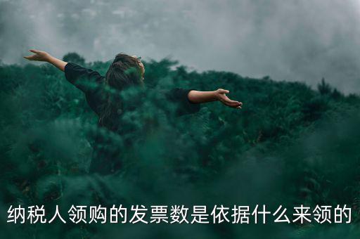 為什么領票人是納稅人，發(fā)票領購簿上的章子與納稅人名稱不一樣是怎么回事