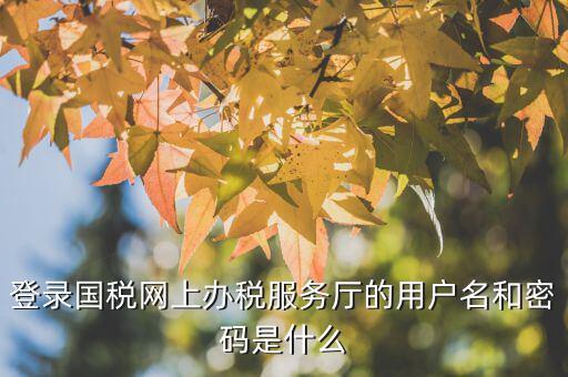 江蘇國稅電子稅務(wù)局登錄用戶名是什么，江蘇國稅網(wǎng)上辦稅服務(wù)廳的用戶名是什么