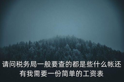 請(qǐng)問(wèn)稅務(wù)局一般要查的都是些什么帳還有我需要一份簡(jiǎn)單的工資表