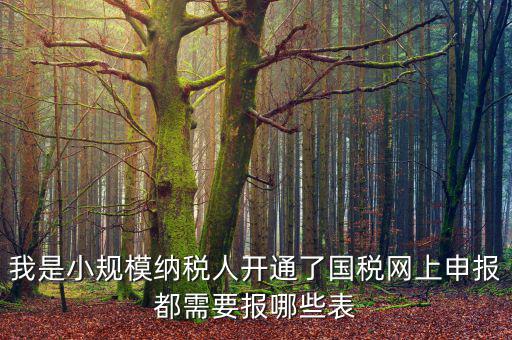 我是小規(guī)模納稅人開通了國稅網(wǎng)上申報都需要報哪些表