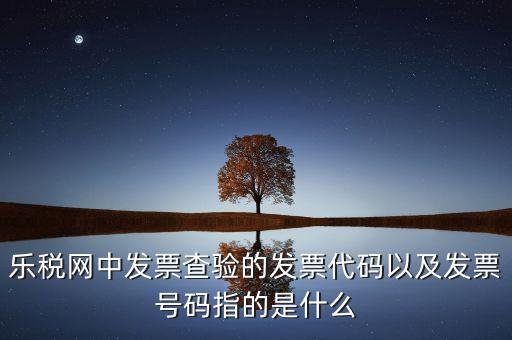 樂稅網(wǎng)中發(fā)票查驗(yàn)的發(fā)票代碼以及發(fā)票號(hào)碼指的是什么