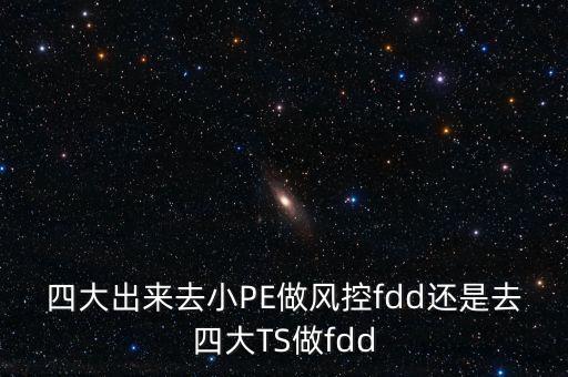 四大出來去小PE做風(fēng)控fdd還是去四大TS做fdd