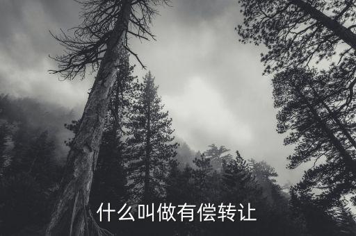 有償轉(zhuǎn)移安置什么意思，有償轉(zhuǎn)發(fā)什么意思