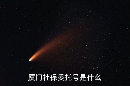 地稅社保委托號是什么，三證合一后去地稅局打社保單子說是與社保局的納稅人識別號不一