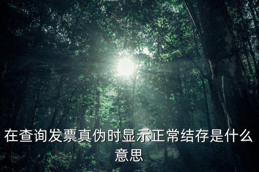 在查詢發(fā)票真?zhèn)螘r顯示正常結(jié)存是什么意思