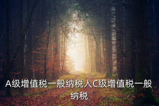 b級(jí)納稅人是什么意思，A級(jí)增值稅一般納稅人C級(jí)增值稅一般納稅