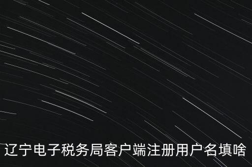 網(wǎng)上辦稅帳號(hào)是什么，登錄國(guó)稅網(wǎng)上辦稅服務(wù)廳的用戶名和密碼是什么