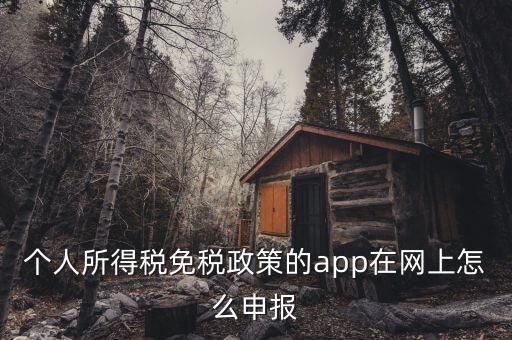 個人所得稅免稅政策的app在網上怎么申報