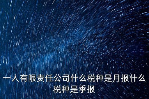 一人有限責(zé)任公司什么稅種是月報什么稅種是季報