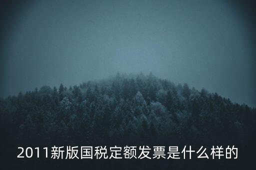 2011新版國稅定額發(fā)票是什么樣的