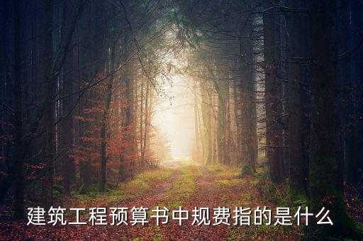 建筑工程預算書中規(guī)費指的是什么