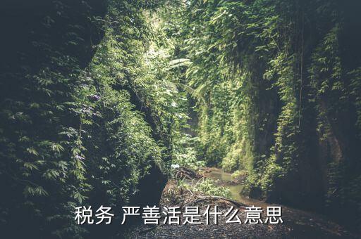 中國稅務(wù)精神是什么意思，稅務(wù)是什么意思啊學(xué)什么內(nèi)容