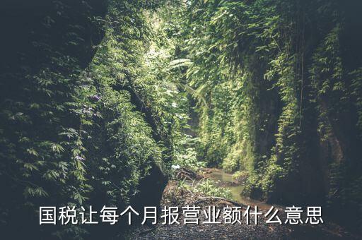 國(guó)稅每月報(bào)稅的是什么意思，請(qǐng)問(wèn)每月抄稅和報(bào)稅各是什么意思