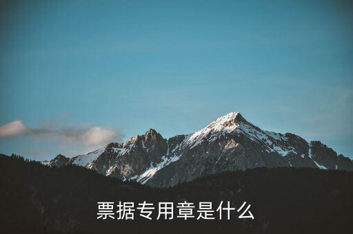 票據(jù)專(zhuān)用章是什么