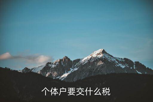 個(gè)體戶要交什么稅