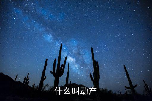 什么是動產(chǎn)登記表，什么叫動產(chǎn)