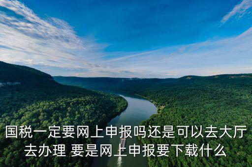 地稅進國稅要下載什么，深圳國地稅想網(wǎng)上申報要下載什么東西嗎