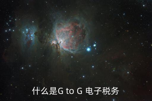 什么叫電子化辦稅，什么是G to G 電子稅務(wù)