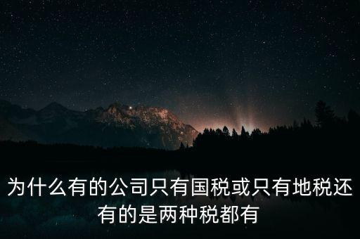 為什么有的公司只有國(guó)稅或只有地稅還有的是兩種稅都有