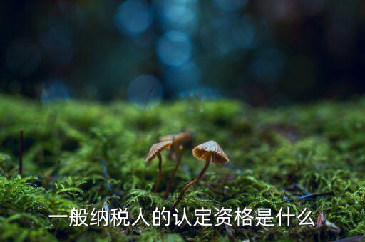 什么是一般納稅人資質(zhì)，一般納稅人的認(rèn)定資格是什么