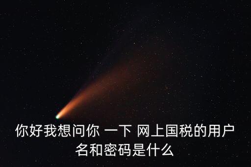 國稅的登錄密碼是什么意思，國稅第一次網(wǎng)上申報的登陸密碼是什么