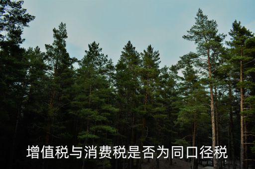 稅收可比口徑什么意思，稅收比重什么意思