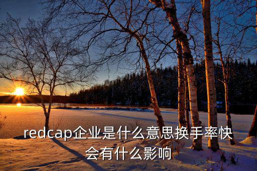 大企業(yè)局是什么意思，廣東省地稅網(wǎng)上的財務(wù)報表中的大企業(yè)局?jǐn)?shù)據(jù)報送是指什么