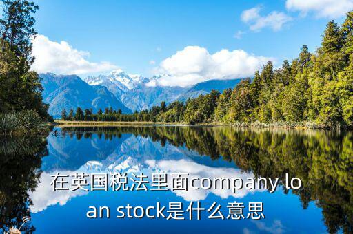 英國出國稅 是什么意思，在英國稅法里面company loan stock是什么意思